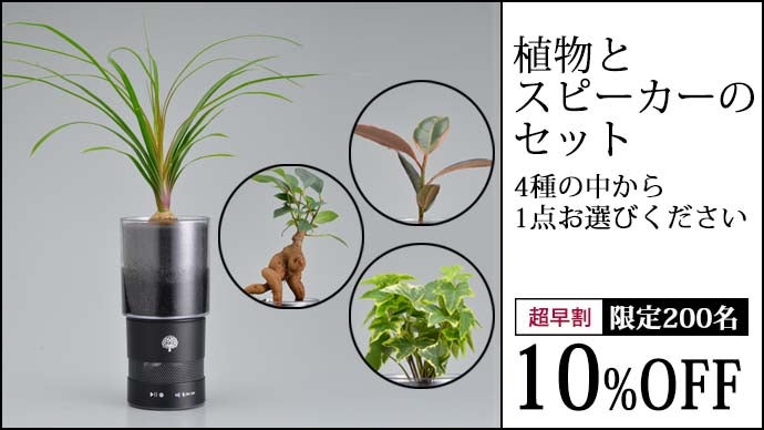 花屋が開発！緑と音楽を同時に楽しめるインテリアスピーカー。MIDORI
