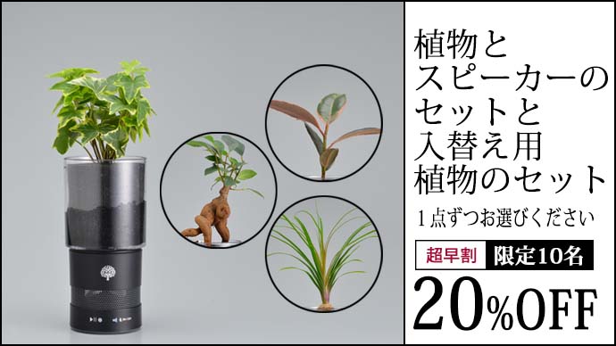 花屋が開発！緑と音楽を同時に楽しめるインテリアスピーカー。MIDORI