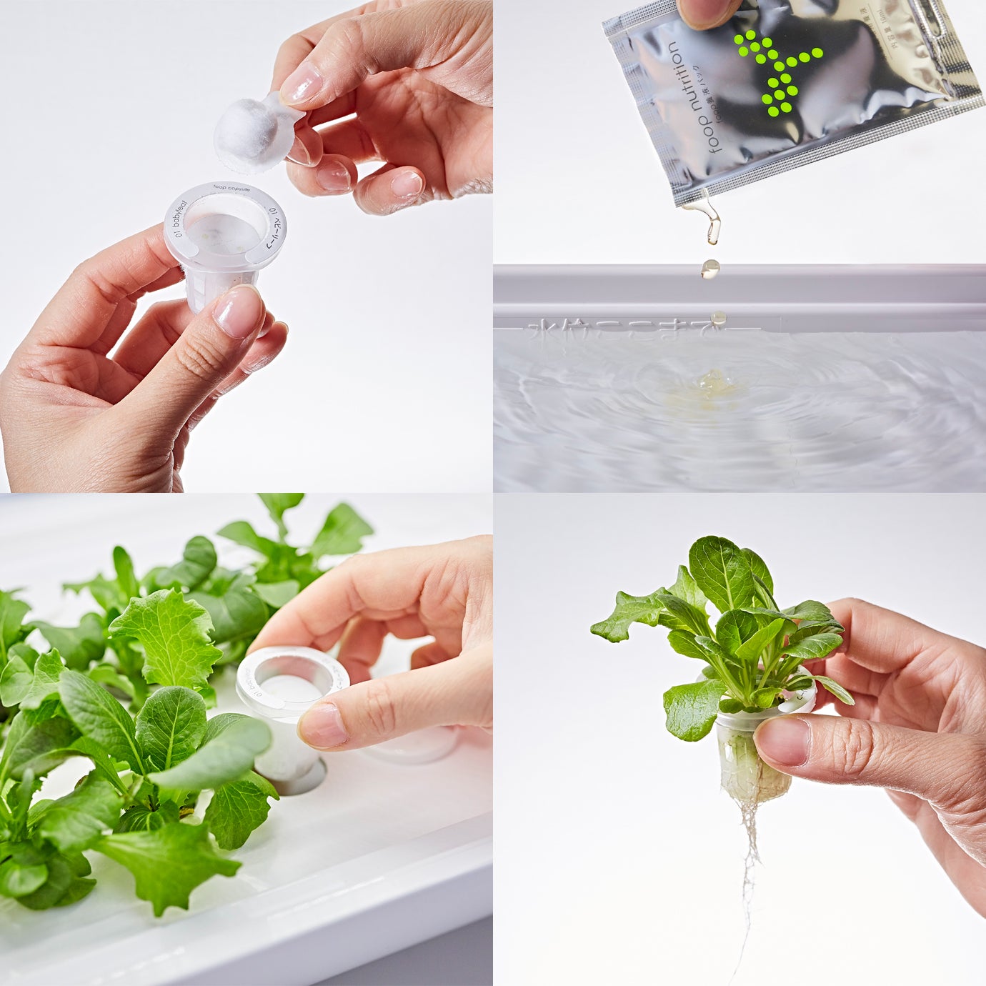 簡単＋便利＋楽しい！水耕栽培カプセルfoop capsule。7種類新たに解禁