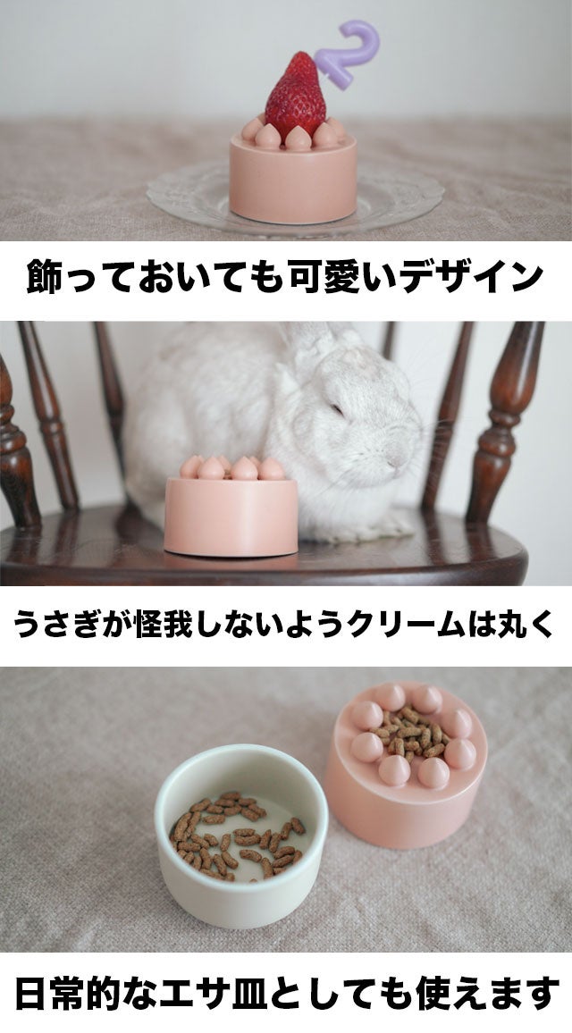カラフルケーキ型陶器置物 ケーキが食べれないペットのために。お誕生日をお祝いできるケーキ型