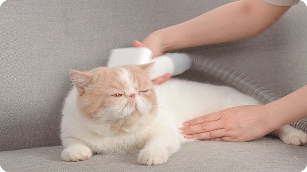 毛を吸引しながら楽々ブラシ＆カット！Homerunpetペット