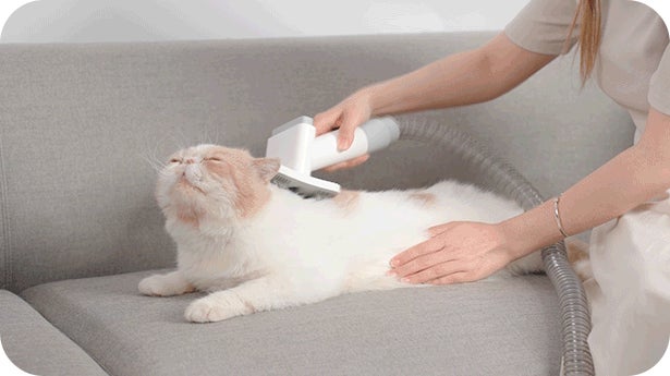 超美品】runpet ペットグルーミングキット トリミング runpet ペット