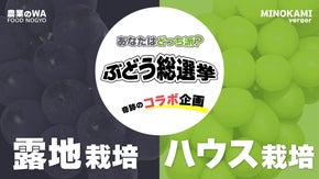 お客様に笑顔を届ける！あなたはどっち派？ハウス×露地の奇跡のぶどう食べ比べ企画