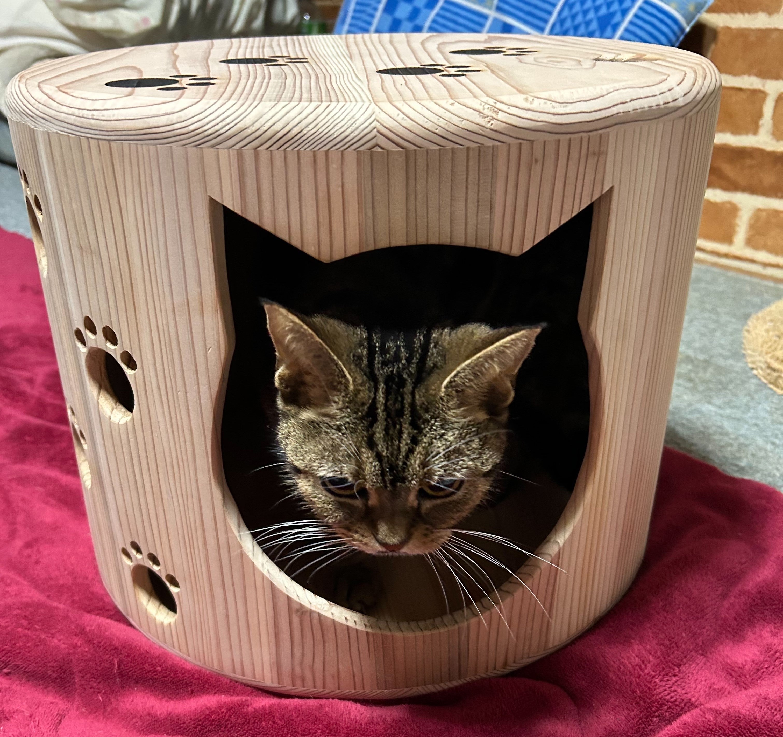 なめらかな触り心地、創業108年の桶樽屋が手がける「ねこハウス