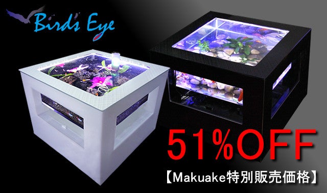 海水魚眺めてリラックス 究極の癒やし系テーブルバーズアイ水槽 宙sora 新登場 マクアケ アタラシイものや体験の応援購入サービス