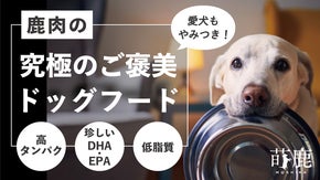 贅沢な自然の恵み、栄養満点の鹿肉ペットフード！可愛い愛犬にご馳走でSDGｓを。