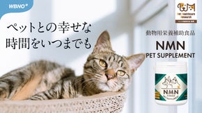 ペットの健康に向き合ってきた獣医が贈る　愛するペットのためのNMNサプリ