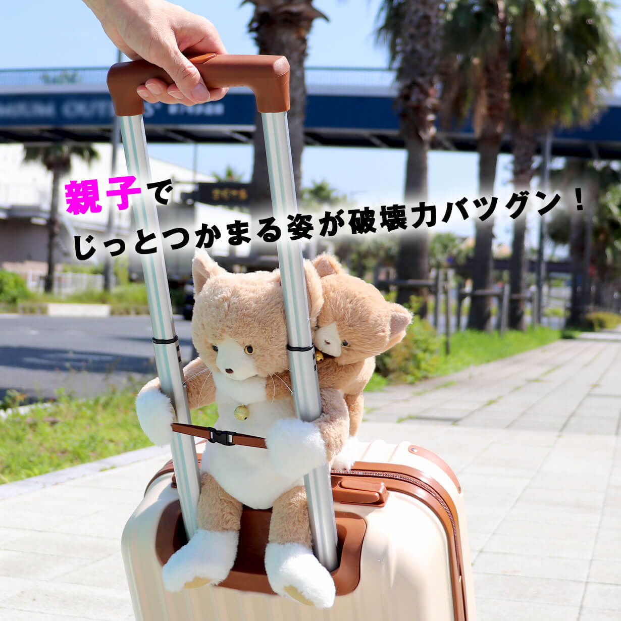 ハチワレ親子猫が便利なキャリーオンバッグに！好評につき新色登場の第