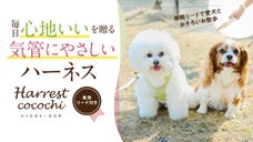 愛犬の「ゴホゴホ」が気になる飼い主さまへ。気管にやさしい散歩用ハーネス　第二弾