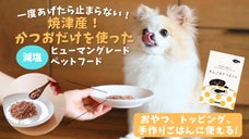 一度あげたら止まらない！焼津産のかつおだけを使った愛犬のためのペットフード