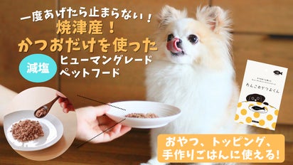 一度あげたら止まらない！焼津産のかつおだけを使った愛犬のための