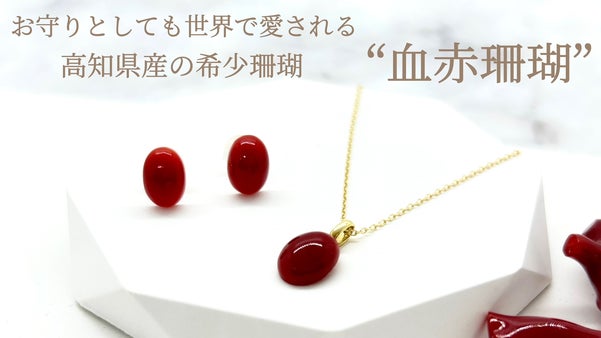 世界で人気の血赤珊瑚。少しか採れない日本の宝石だからこそ多くの方に着けて頂きたい