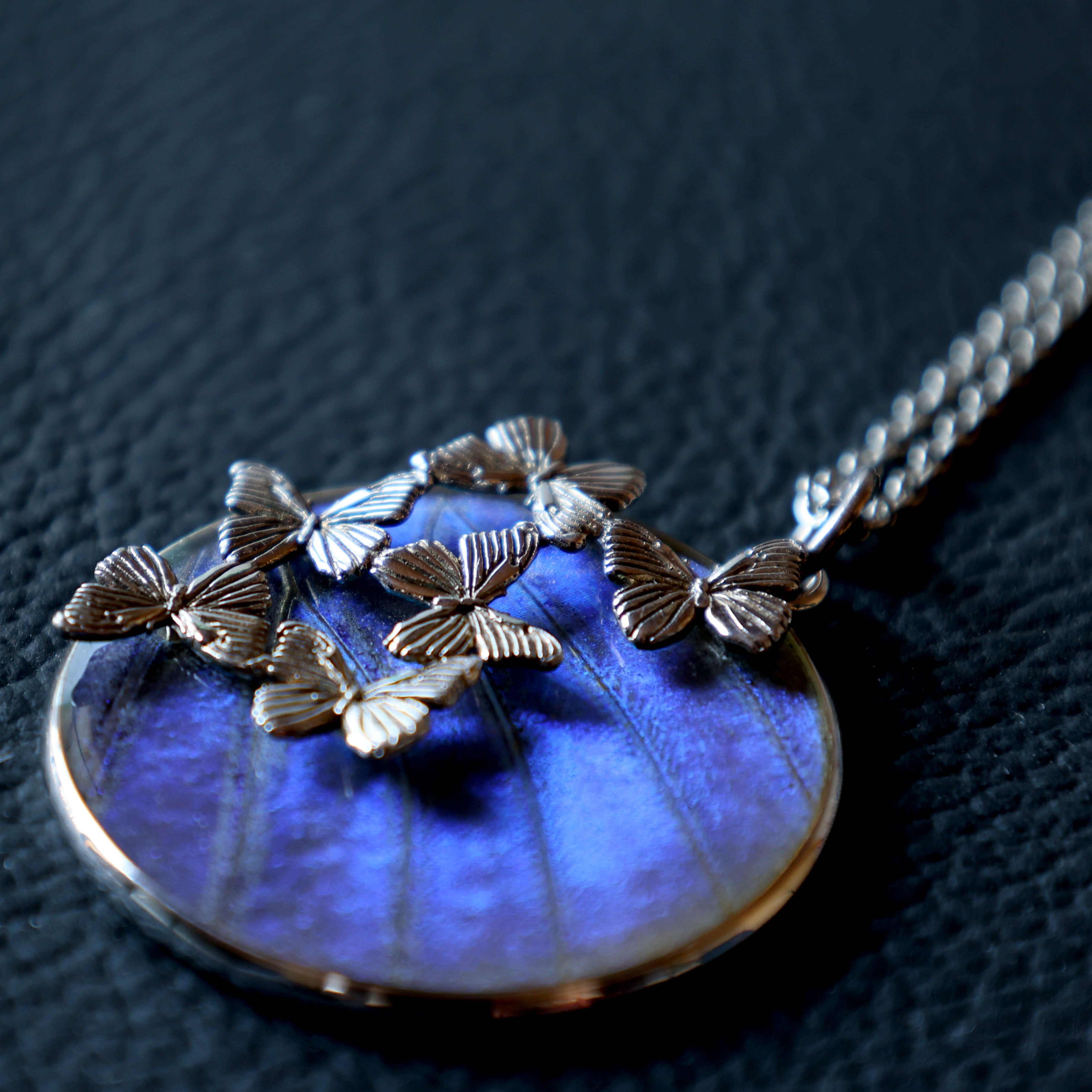 神秘的な青い蝶「モルフォ」を身にまとう、奇跡のバタフライジュエリー