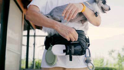 A*a様 【極美品】ヌーイ ドッグキャリアー&ペットショルダーセット NU-I detail_35174_16893105635875.