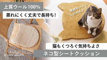 椅子や玄関マットにも】猫もくつろぐ気持ち良さ・・・上質ウール絨毯