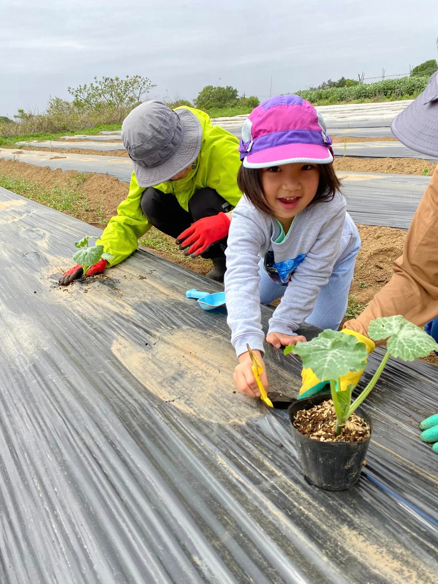 限定生産】最優秀賞ミニトマトを作った博士が、“日本一”のトマト