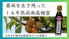 豪雨からの復興！梅の香りと濃厚な味わいを楽しむ１４年熟成の梅蜜を限定販売
