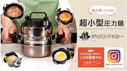 未使用 箱あり 超小型圧力鍋 ジャストクッカー 毎日使いたい!キッチンの新しい主役!小型食べきりサイズ圧力鍋