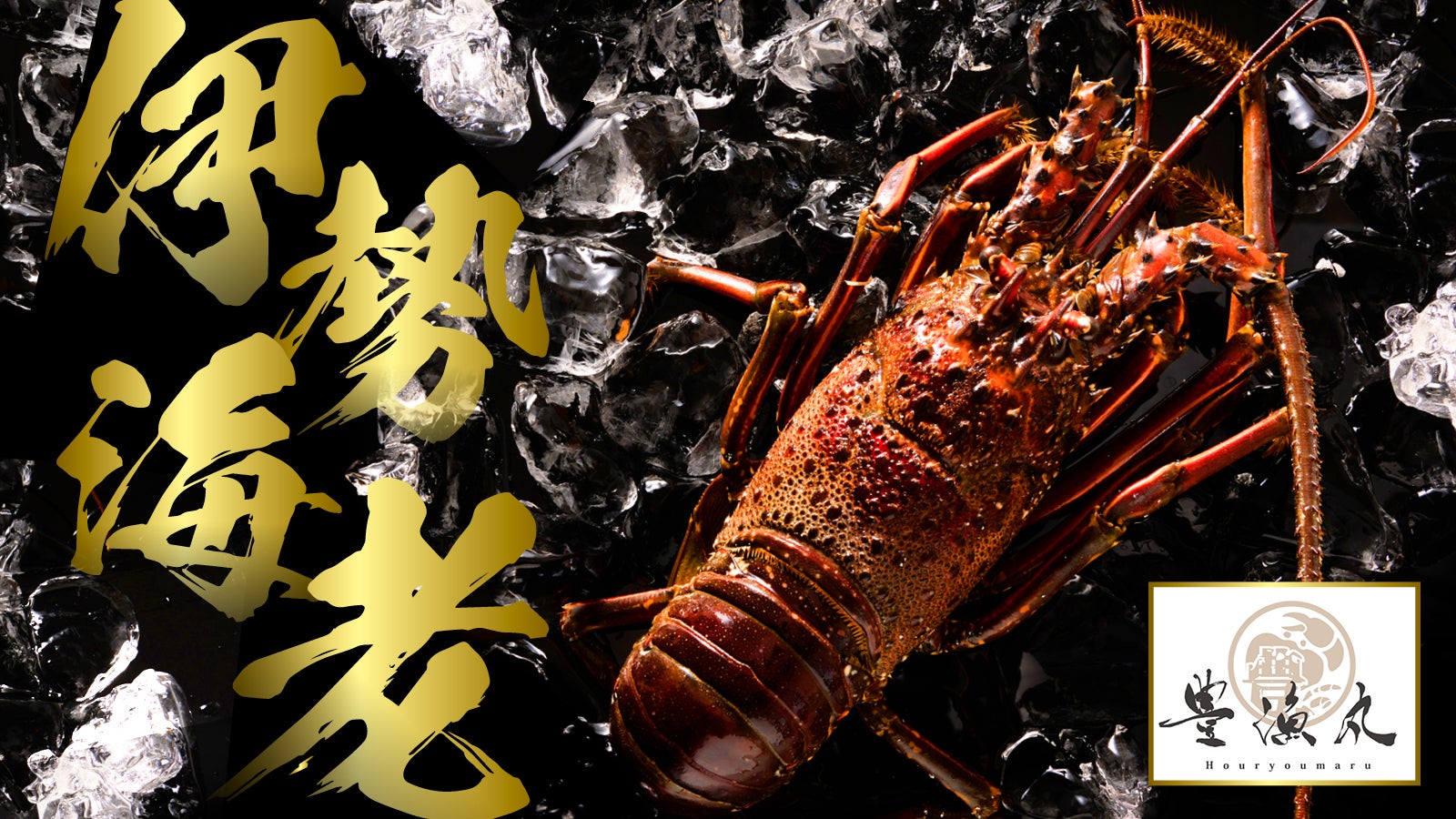 伊勢海老漁が9月遂に解禁！】今年初の伊勢海老を漁師から活きたままお