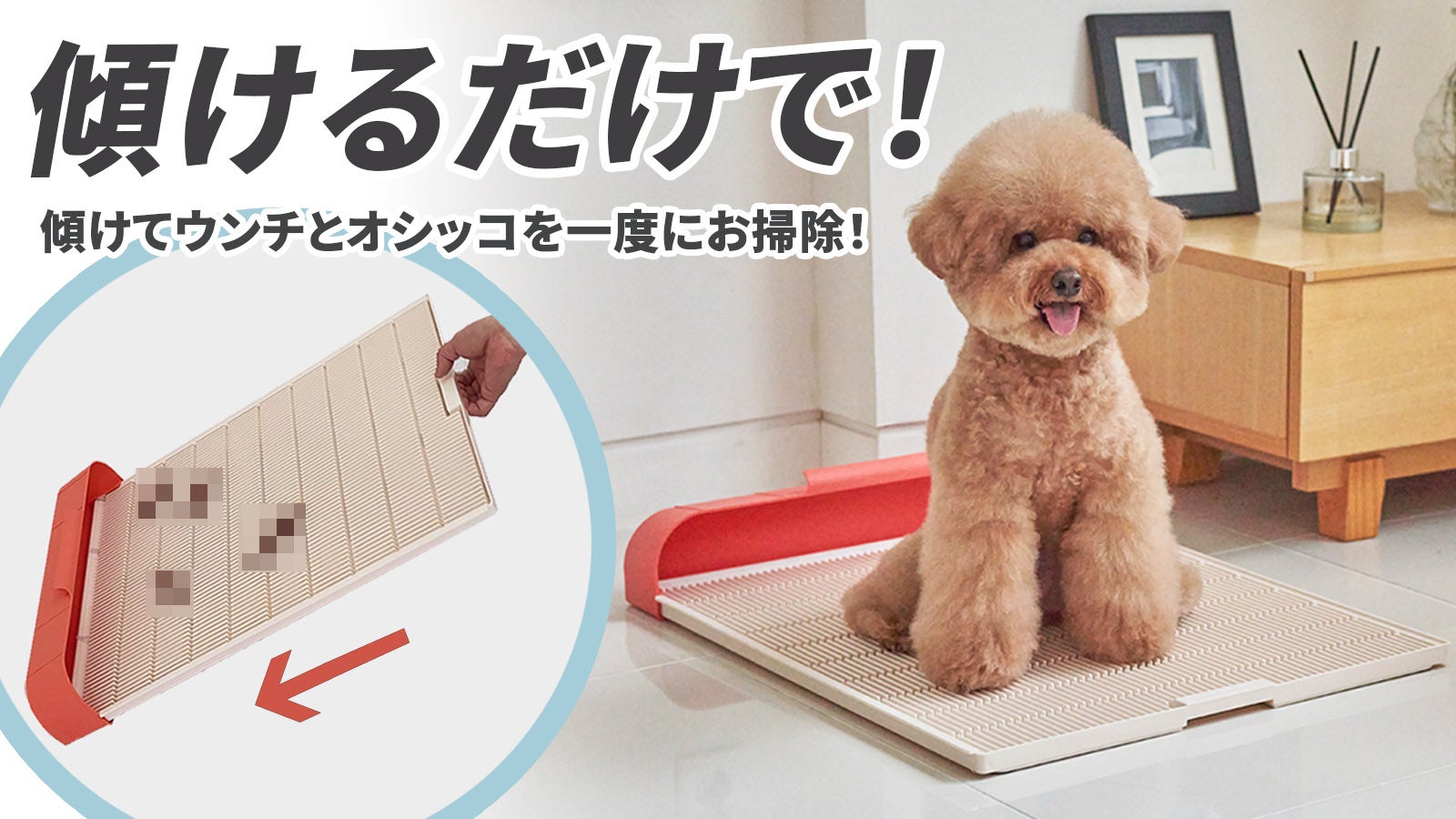 3秒でおトイレのお掃除完了】 オシッコ&ウンチまで一度に処理でき