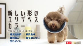 【海外2か国で特許取得済み】ペットのことを考慮した生活しやすいエリザベスカラー！