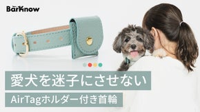 愛犬との外出に安心とオシャレを。AirTag収納可 イタリア産天然革のペット首輪