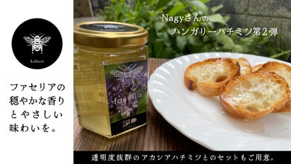 穏やかな香りとやさしい味わいのファセリア。ハンガリーNagyさんの