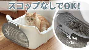 テコの原理を利用！ニャンコたちのおトイレ掃除がぐんと楽になる SWING CAT