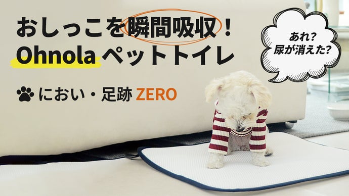 におい・足跡ZERO】おしっこを瞬間吸収！Ohnolaペットトイレ｜マクアケ 