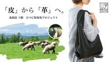 北海道の羊牧場発プロジェクト！「皮」から「革」へ。