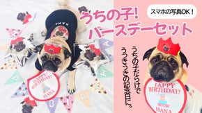大好きなペットの記念日に！世界に１つのバースデーセット！