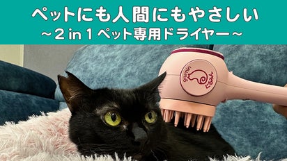 ペット用ドライヤー 黒 Amazon.co.jp: 犬 ドライヤー「メガブローZ」(風量・温度無段階