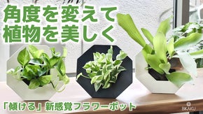 観葉植物を&rdquo;傾けて&rdquo;美しい角度で飾れる！新感覚のフラワーポットBIKAKUビカク