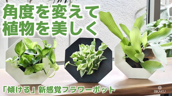 観葉植物を&rdquo;傾けて&rdquo;美しい角度で飾れる！新感覚のフラワーポットBIKAKUビカク