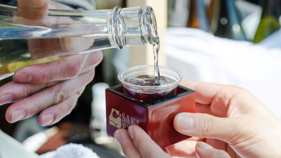 【超早割20％OFF】-ちょうどいい-レギュラーセット