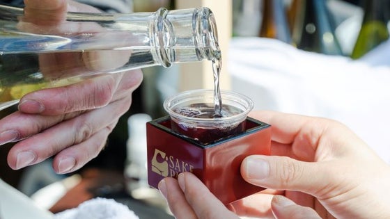 【超早割22％OFF】-たっぷり楽しむ-ラージセット