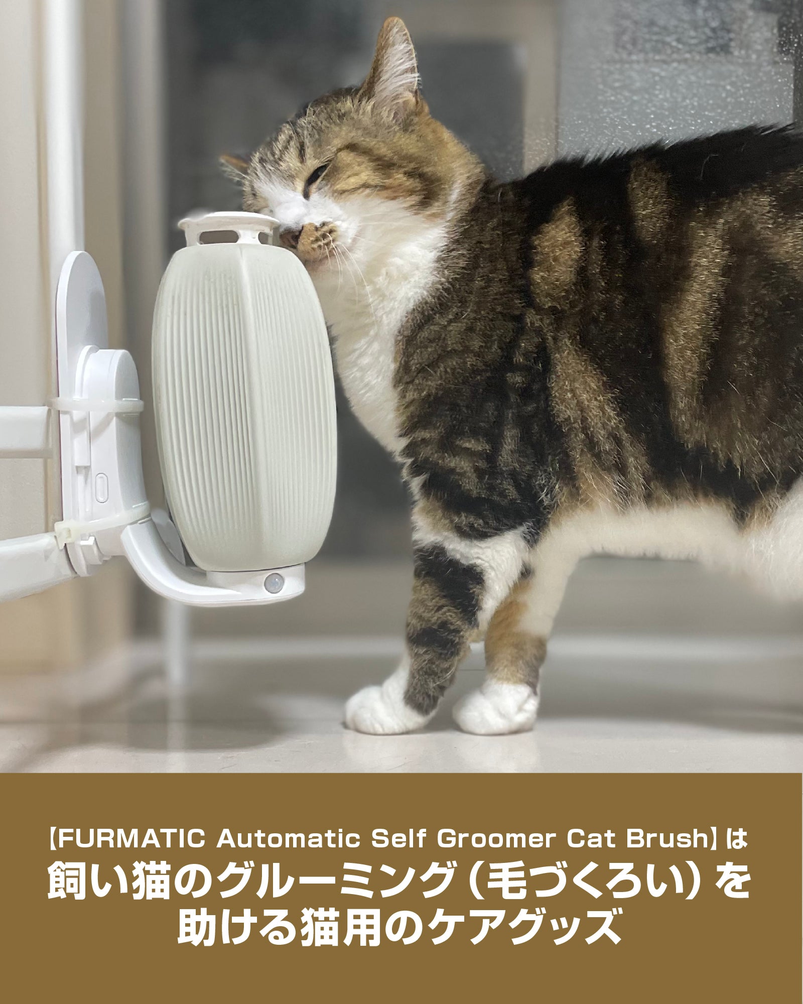 猫が近づくと自動でブラッシング】いい香りに誘われて体スリスリ