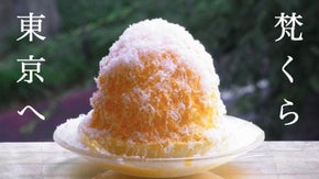 仙台で大人気のかき氷専門店「梵くら」二日間限定の東京出店イベントを応援しよう！
