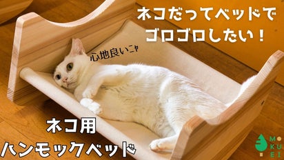 1台2役】創業50年の木材会社が手がける！スギの木で作るネコの 