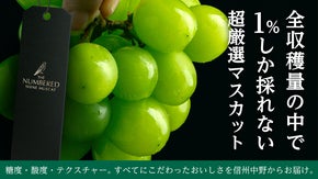 【限定100個】約２万房の中から上位1％に選ばれた信州中野のシャインマスカット