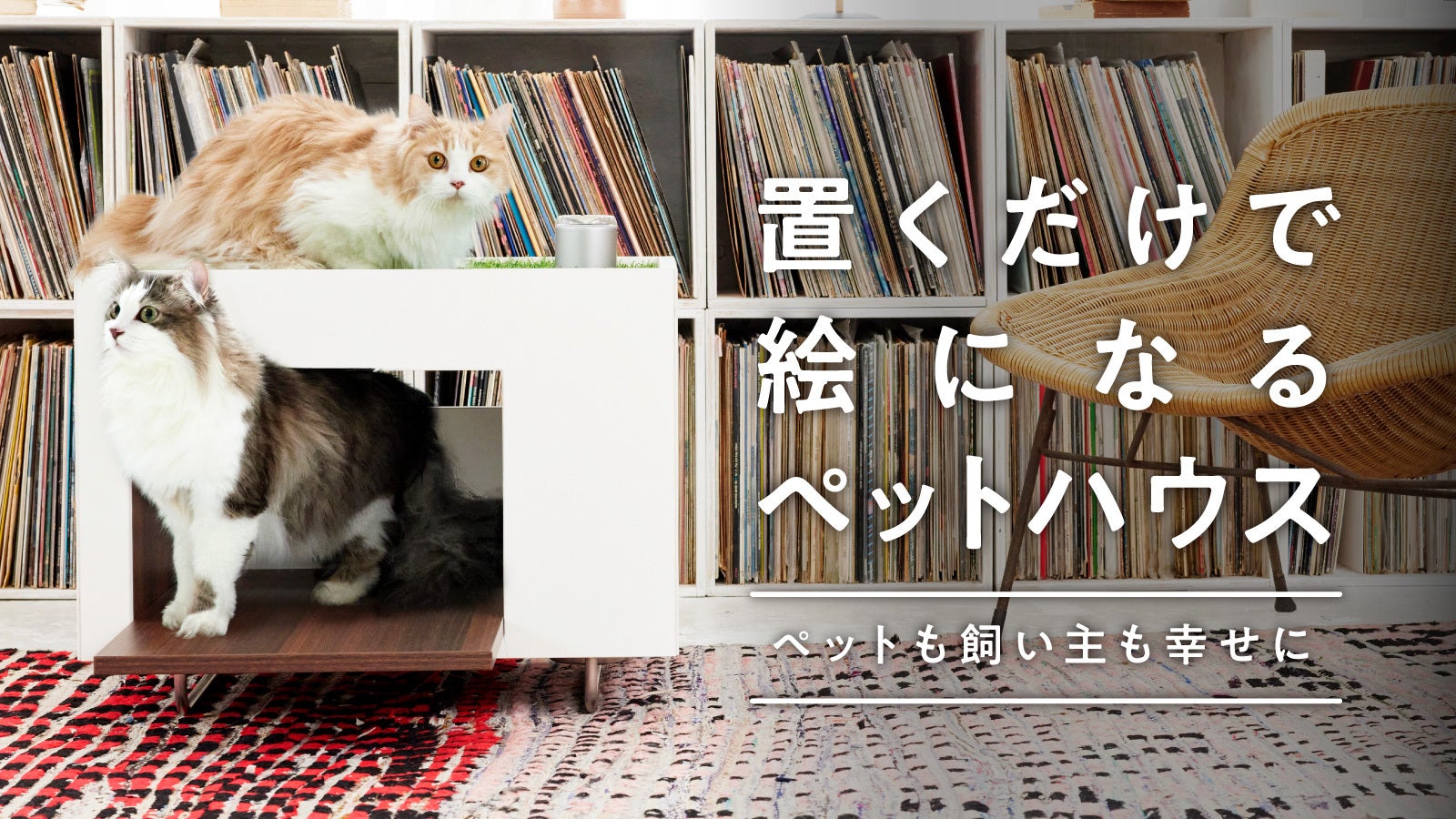 置くだけで絵になるペットハウス〜ペットと飼い主の理想を叶える｜PET