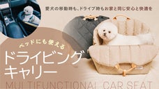 だって家族だもん。車でもわんちゃんに快適空間を！3WAYドライビングキャリー