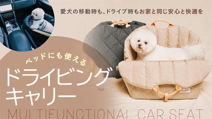 だって家族だもん。車でもわんちゃんに快適空間を！3WAYドライビング