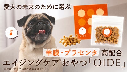 羊膜・プラセンタで愛 犬の健康をサポート ！｜エイジングケアおやつ