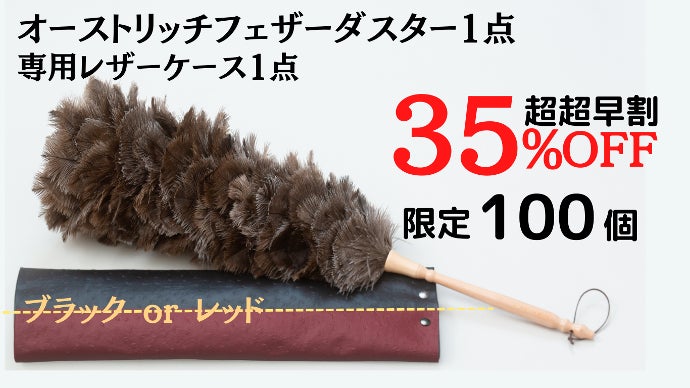 ADAソーシャルフェザーダスター100株