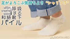 夏だけじゃない！冬も履きたい「呼吸する和紙靴下」パイル。シャリフワな履きごこち！