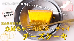 【限定販売第1弾】ママのためのチーズケーキ|かぼちゃの甘みとチャイのあと引く香り