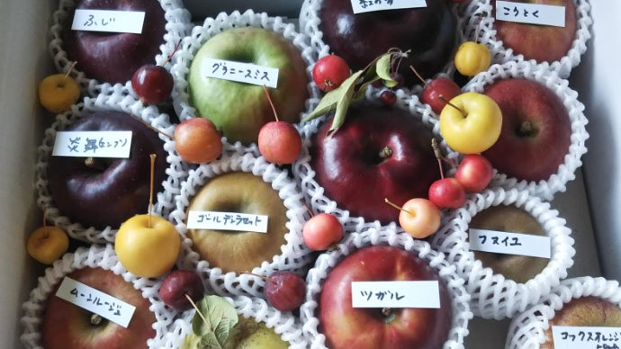 りんごの可能性は無限大！ パティシエ御用達農家のりんごをみんなに