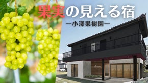 【フルーツ王国】山梨・勝沼に果樹園を拓いて50年。ぶどう狩り体験＆宿泊｜配送も有