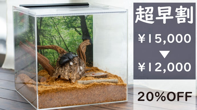 高級【自作(現在未使用)テラリウム/虫カゴ/飼育ケース】 高級【自作(現在未使用)テラリウム/虫カゴ/飼育ケース